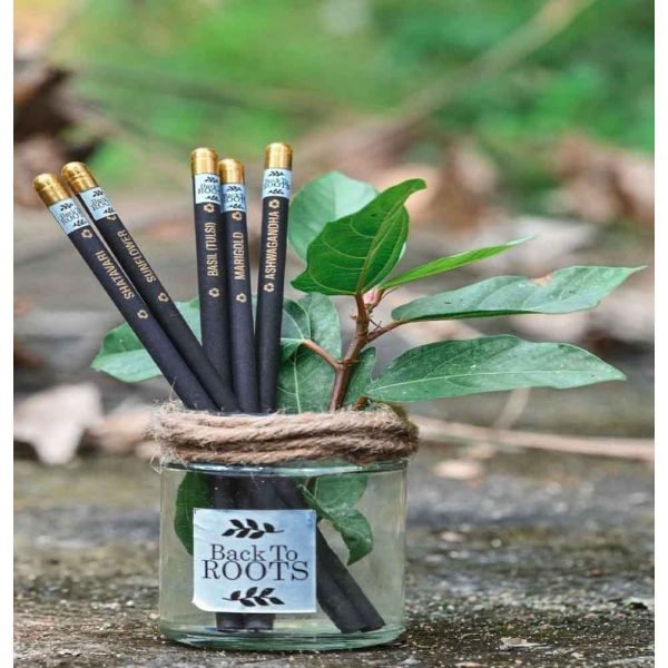 Plantable Seed Pencil