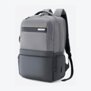 AMERICAN TOURISTER Large 33 L Laptop Backpack SEGNO 4_0 EXP (Grey)
