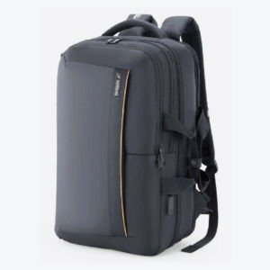 AMERICAN TOURISTER Large 33 L Laptop Backpack SEGNO 4_0 LPBP 04 (Black)