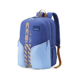 AMERICAN TOURISTER ZEAL Laptop Backpack